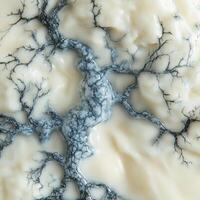 Exploring the unique blue cheese texture with intricate mold patterns in a close-up view photo