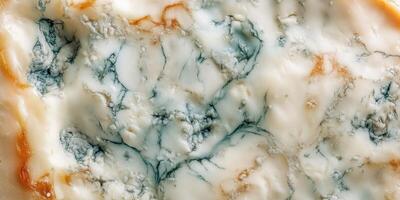 Discovering the unique texture and flavor profile of blue cheese characterized by its distinct veins and creamy base photo