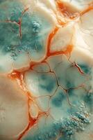 Exploring the intricate texture of blue cheese with its unique veining and colors photo