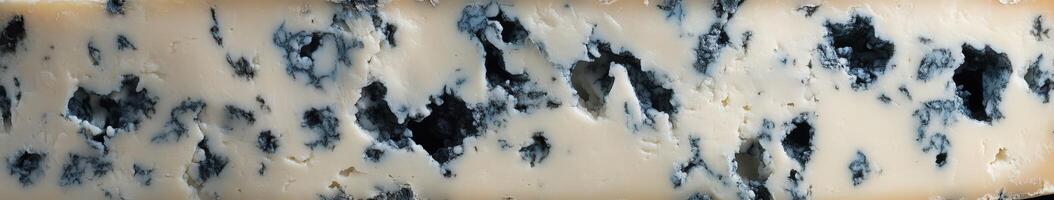 Delicious blue cheese showcasing unique marbling and rich, creamy texture perfect for cheese boards and culinary creations photo