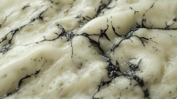 Exploring the unique texture of blue cheese with striking veining and a creamy background photo