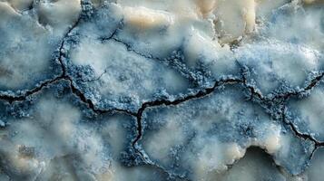 Unique blue cheese texture showcasing intricate details and natural variances in color and pattern photo