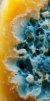 Detailed view of blue cheese showcasing its unique texture and coloration, highlighting the mold characteristics photo