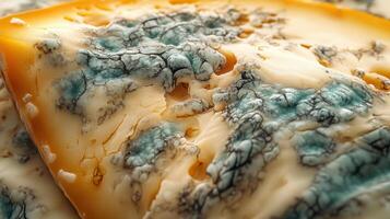Discovering the unique texture and flavor profile of blue cheese with intricate mold patterns photo