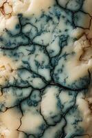 Unique blue cheese texture showcases intricate mold patterns and creamy variations in color perfect for culinary exploration photo