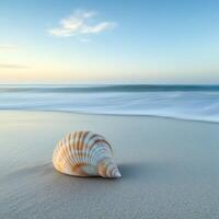 Close-up of a beautifully patterned shell lying on the sandy beach during a serene sunset near the ocean waves photo