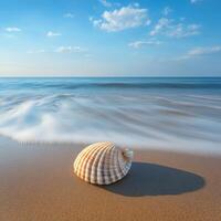 Relaxing coastal view with a beautiful seashell resting on the sandy shore during a clear sunny day photo