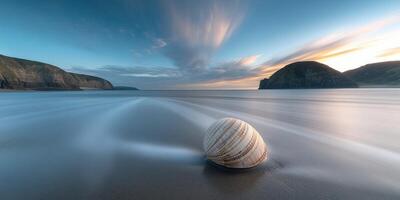 Calm seashore at sunset with a large seashell resting on the wet sand and gentle waves flowing around it photo