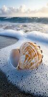 Beautiful seashell resting on soft sand as waves gently wash over it on a serene beach at sunset photo
