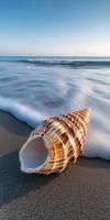 Seashell rests on sandy beach as gentle waves wash ashore under a clear blue sky at sunset photo