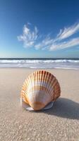 Beautiful seashell resting on soft sandy beach under blue sky with wispy clouds and gentle ocean waves in the background photo