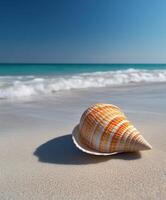 Beautiful conch shell resting on the sandy beach with gentle waves in the background on a sunny day photo