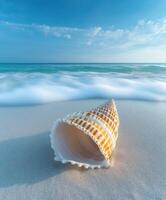 Seashell rests on tranquil sandy beach with gentle waves lapping in the background under a bright blue sky photo