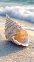 A shell on the beach with waves in the background photo