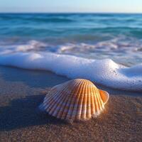 A shell on the beach with waves and ocean photo