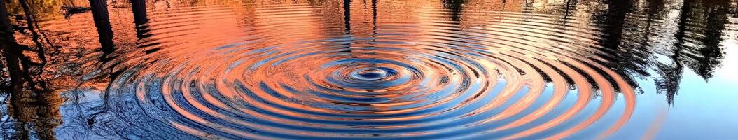 A circular reflection of water on a lake with trees in the background photo