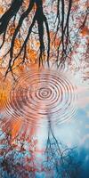 A tree with a circular reflection in water photo