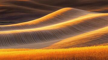 The golden hour by jason kim photo