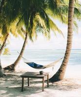 Relaxing in a hammock by the beach under palm trees with a coffee in hand during a sunny day photo