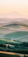 Rolling hills at sunrise in Tuscany photo
