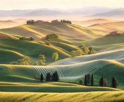 Rolling hills with golden light photo