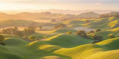 A green rolling hill with trees and grass photo