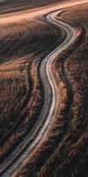 A long road in the middle of a field photo