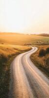A dirt road in the middle of a field at sunset photo