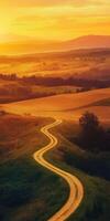 A winding road in the middle of a field at sunset photo