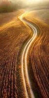 An aerial view of a road winding through a field photo