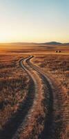 A dirt road in the middle of the savannah at sunset photo