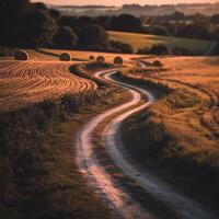 A dirt road in a field with hay bales photo