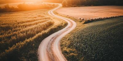 An aerial view of a dirt road in a field photo