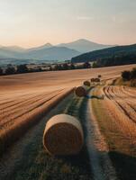 Bales in a field at sunset photo