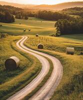 Rolling hills and winding roads photo