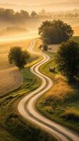 Serpentine road through farmland at dawn photo