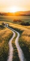 Serene sunset over winding path photo