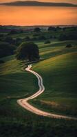 Winding path through green hills photo