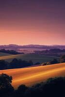 Expansive golden fields at sunset photo