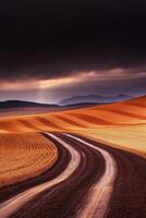 Road winding through golden fields photo