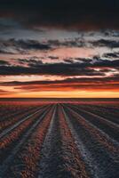 Sunset over the plowed field photo