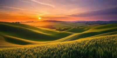 Golden sunset over rolling hills photo