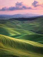 The rolling hills of the palermo region of italy photo