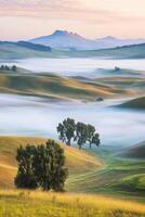 Misty morning in rolling hills photo