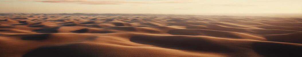 Windswept dunes at sunset photo