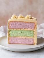 A slice of cake with a rainbow of colors photo