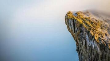 Stunning tree trunk at the cliff photo
