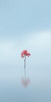 Pink tree stands alone in mist photo