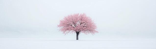Pink tree stands in winter snow photo