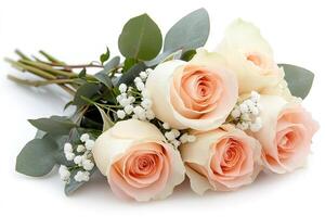 Bouquet of pink roses lying on a white background photo